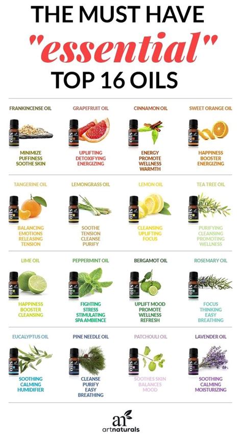 essential oils beginners guide bsbp    popular