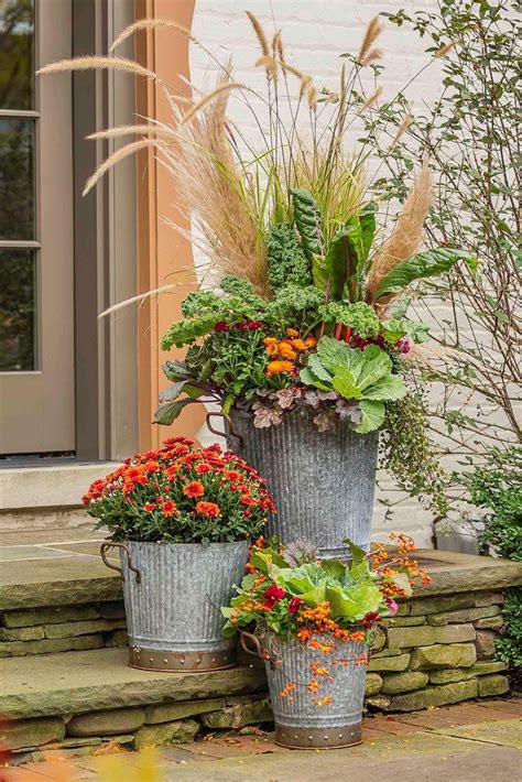 pin  jamie dill  flower pot ideas   fall container gardens