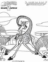 Madagascar Giraffe Melman Colouring sketch template
