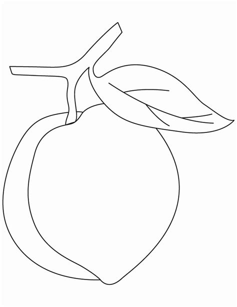 peach coloring pages  coloring pages  kids   fruit