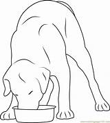 Dog Eating Coloring Bowl Stainless Steel Pages Coloringpages101 sketch template