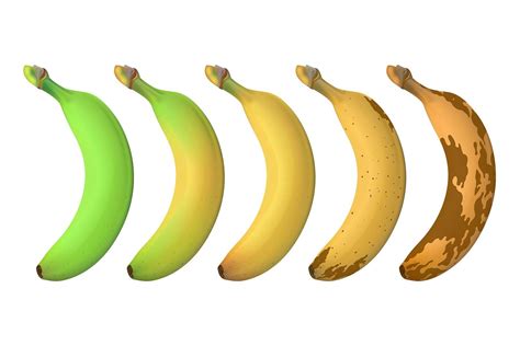 pisang hijau kuning coklat kenali manfaat buah pisang joveeid