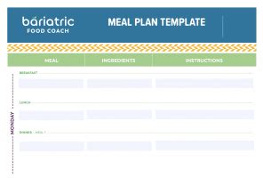 bariatric meal plan template