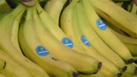Bananas Under Threat Of Extinction Due To A Combination Of Deadly