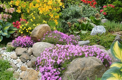 build  rock garden platt hill nursery blog advice