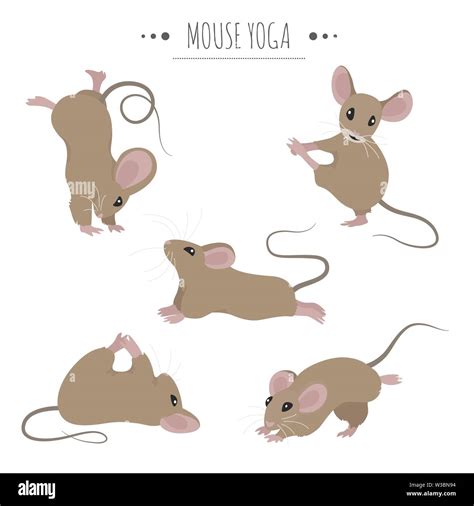 mouse yoga poses  exercises cute cartoon clipart set vector