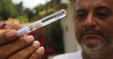 g1 sespa registra mais de 190 casos de dengue neste ano no pará