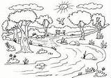 Rios Contaminados Seres Vivos Coloring Resultado Guardado Bosques sketch template