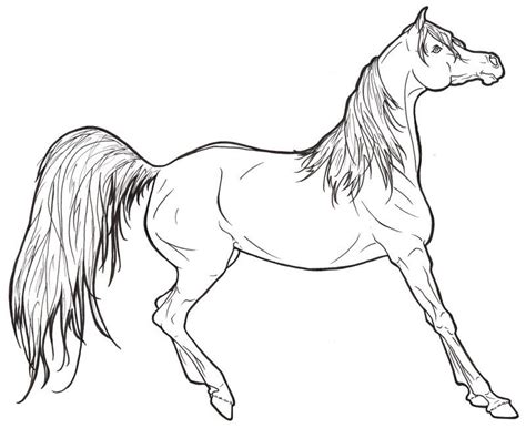 barbie horse coloring pages barbie horse coloring pages coloring