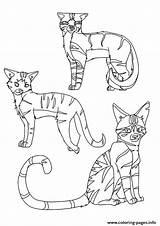 Warrior Coloring Clan Cats Cat Pages Printable A4 Print Color Winged Sketch Kids Naughty Getcolorings Paintingvalley sketch template