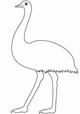 Emu Template Walking sketch template
