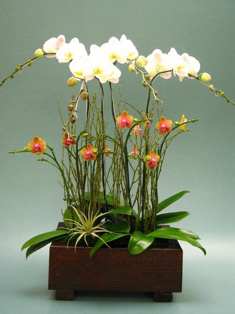 30 Orchid Arrangements Ideas Orchid Arrangements Arrangement Orchids