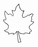 Coloring Leaf Clipart Clipground sketch template