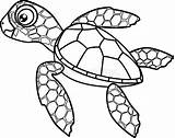 Hatchling Tortuga Tortue Loggerhead Beeldverhaal Kleurende Zeeschildpad Turtles Tortuguita Annime Ohbq Clipartmag sketch template