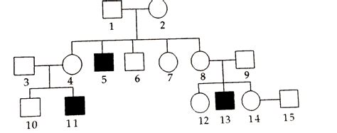 x linked recessive inheritance pedigree slideshare