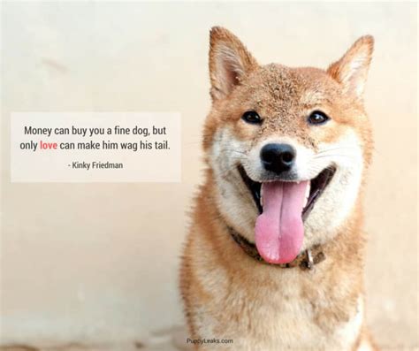 inspirational dog quotes  life  love playbarkrun
