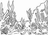 Ocean Floor Drawing Drawings Underwater Paintingvalley sketch template