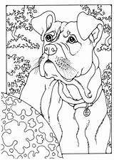 Boxer Coloring Pages Dog Kleurplaat Colouring Dogs Sheets German Print Kids Edupics Pointer Color Boxers Puppy Printable Adult Shorthaired Kleurplaten sketch template