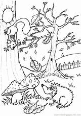 Woodland Coloring Pages Getdrawings sketch template