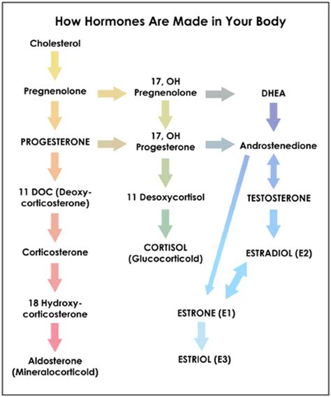 What Not Just Pregnenolone Alone Without Hcg Am I Missing Something