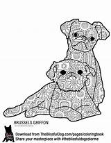 Coloring Dog Griffon Pages Brussels Book Choose Board sketch template