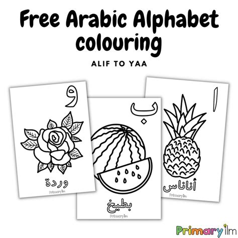 arabic alphabet colouring primary ilm