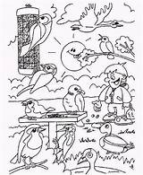 Vogels Tuin Dieren Vogeltjes Bezoeken Kiezen sketch template