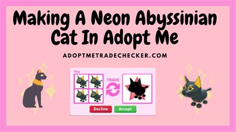 whats  abyssinian cat worth  adopt  adopt  trade checker
