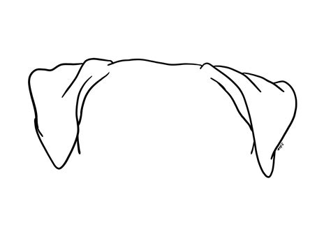 custom pet ear outline drawing dog ear drawing cat ear etsy boxer