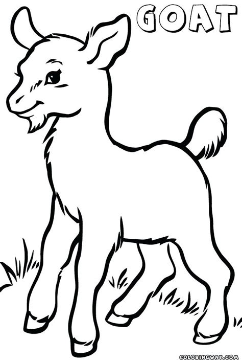 cute goat coloring pages  getcoloringscom  printable colorings