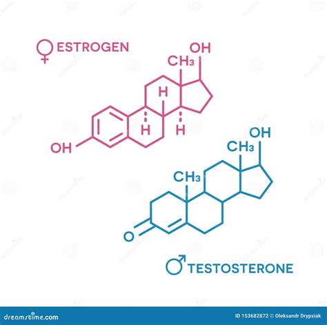 Estrogen And Testosterone Hormones Symbol Sex Hormones Molecular