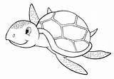 Turtle Coloring Sea Pages Drawing Realistic Loggerhead Kids Printable Snapping Alligator Cute Turtles Color Baby Shell Box Drawings Colouring Getdrawings sketch template