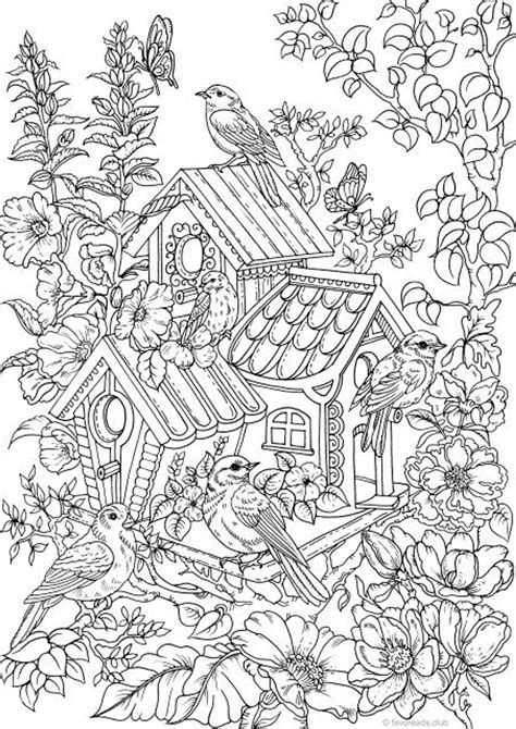 birdhouse coloring pages  adults franklin morrisons coloring pages