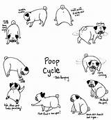 Pug Poop Coloring Pages Cycle Cute Baby Pugs Drawing Printable Pooping Humpug Bah Poo Cartoon Print Process Dog Just Does sketch template