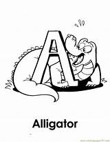 Alligator Coloring Printable Pages Alligators Alphabet Amphibians Color sketch template