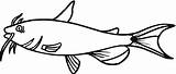 Coloring Catfish Library Clipart sketch template