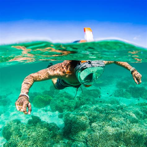 aria extra snorkel ocean reef snorkeling