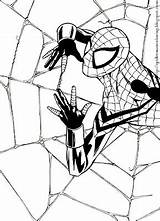 Spidergirl sketch template