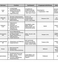 Bildergebnis für Kleinhirnerkrankungen Tabelle. Größe: 231 x 210. Quelle: www.studocu.com