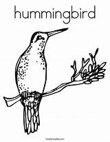 Coloring Hummingbird State Everfreecoloring Twistynoodle sketch template