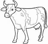 Cow Coloring Pages Drawing Outline Kids Printable Cartoon Cattle Line Clipart Caw Color Drawings Print Cliparts Easter Cows Animal Eggs sketch template