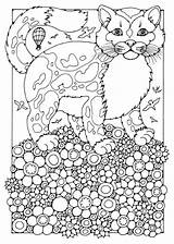 Cat Coloring sketch template