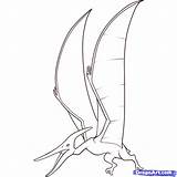 Coloring Pteranodon Dinosaur Flying Drawings Library Clipart Sketch sketch template