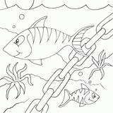 Fish Coloring Pages Drawing Printable Colouring Line Chain Clip Striped Animal Desenho Kindergarten 2010 Cartoon Tank Peixinhos Seipp Dave Drawn sketch template