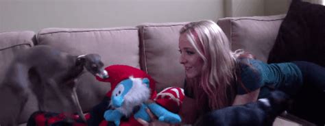 jenna marbles find and share on giphy