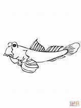 Mudskipper Coloring Fish Pages Printable Clipart Kids Click Colouring Supercoloring Color Coloringbay Clipground Category Choose Board Categories sketch template