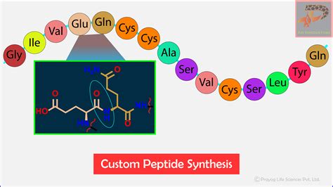 peptides synthesis nsj prayoglife