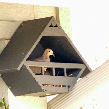 photo gallery unique bird houses bird houses diy bird house feeder