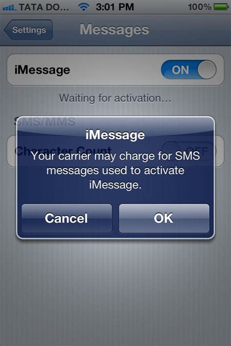 Using Imessage Beware Of International Sms Charges For