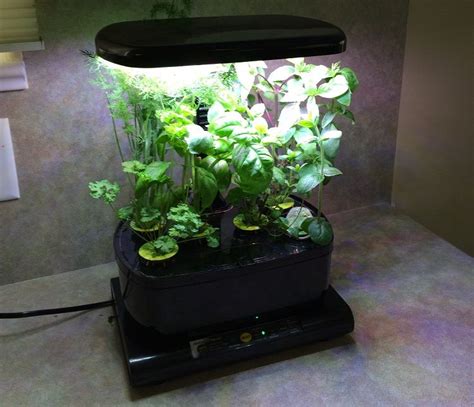 indoor hydroponic grow systems  garden kits